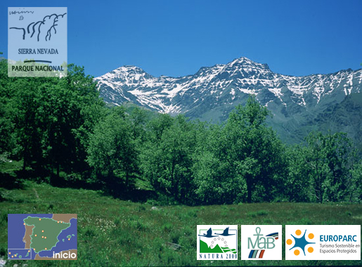 Mulhacén y La Alcazaba [Autor: G. Montañés]