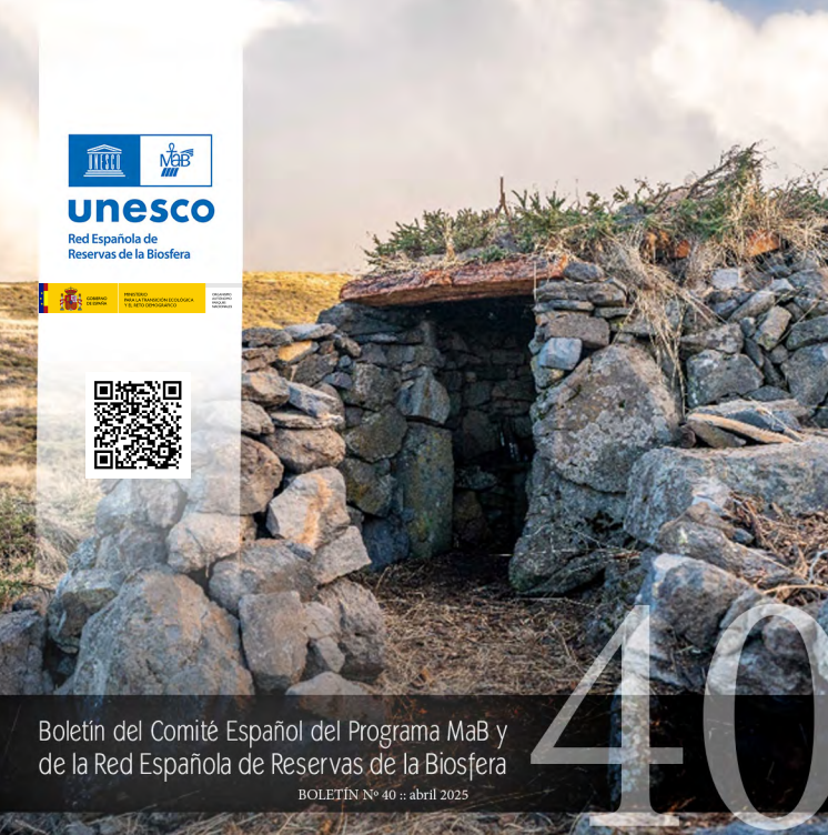 portada boletín número 40