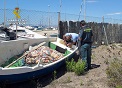 La operación ‘PERLA NEGRA’ se ha saldado, hasta el momento, con el decomiso de dos embarcaciones de pesca y sus artes, los cuales eran presuntamente utilizados para pescar de forma ilícita en el Mar Menor.