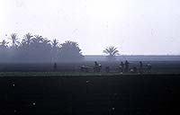 paisaje