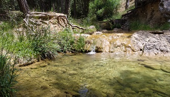 Muestreo en aguas de baño 24/06/20 Río Linarejos (Jaén)
