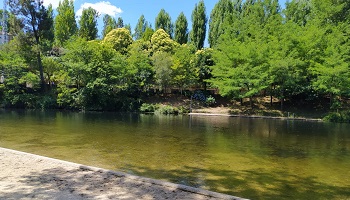 Muestreo en aguas de baño 29/06/20 Río Tea - A Freixa