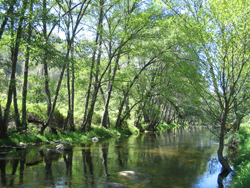 Paisaje con río en calma