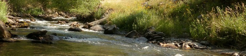 Reserva Natural Fluvial Río Tor desde su nacimiento hasta su desembocadura en el río Valfarrera