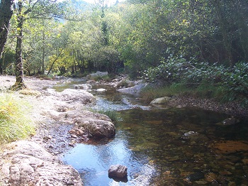 Antecedentes de las Reservas Naturales Fluviales