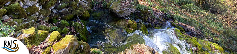 Reserva Natural Fluvial de Los Garrafes de Bueida