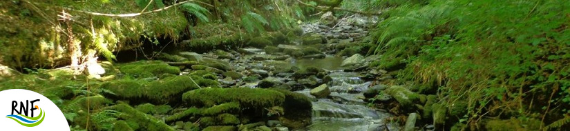 Reserva natural fluvial Río Moia hasta la población de Moia