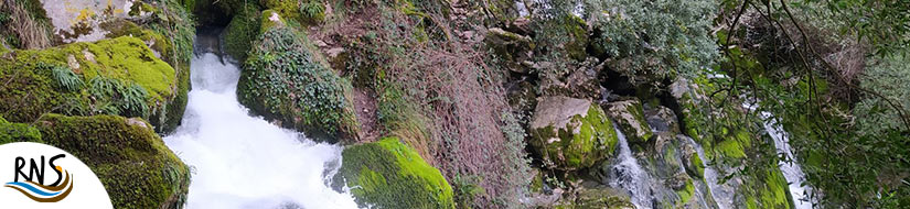 Reserva Natural Fluvial del Manantial del río Cadagua