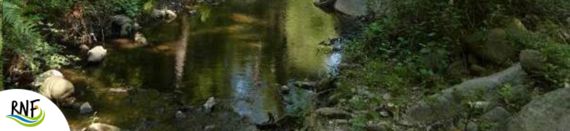 Reserva Natural Fluvial Cabecera de L'Anyet