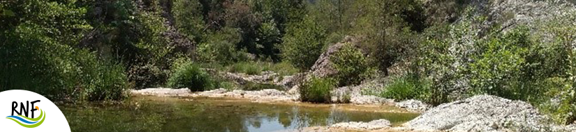 Reserva Natural Fluvial Riera de Borró 