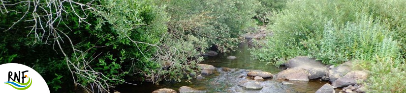 Reserva Natural Fluvial Alto Pisuerga