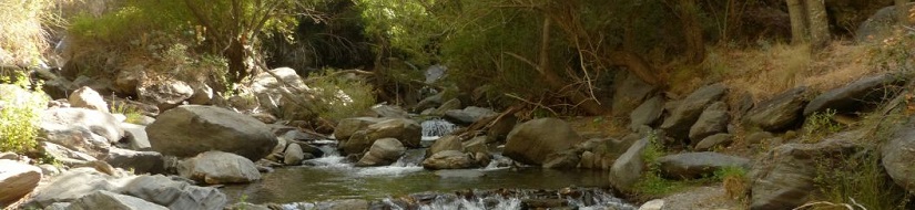 Reserva natural fluvial Nacimiento del Genil