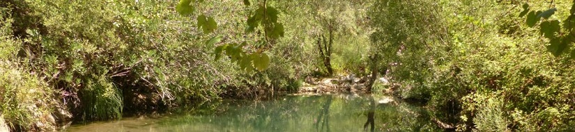 Reserva natural fluvial Río Guadalora