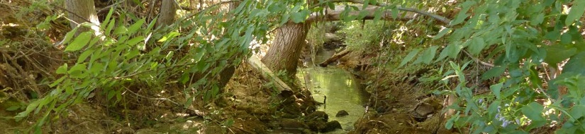 Reserva natural fluvial Cabecera de los ríos Salobre y Arjonilla (o Angorrilla)