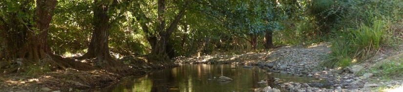 Reserva natural fluvial Rivera de Huelva