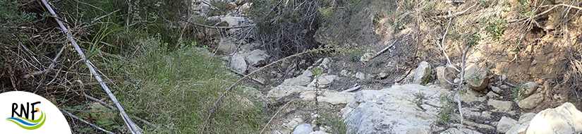 Reserva Natural Fluvial Torrent des Verger - Jondal