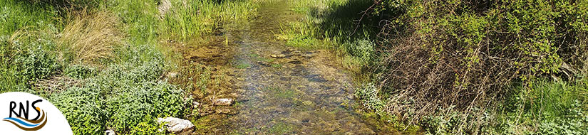 Reserva Natural Subterránea Nacimiento del río Huécar
