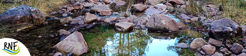 Reserva natural fluvial río Guadazaón