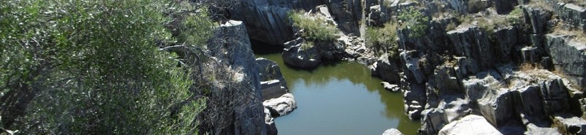 Reserva natural fluvial del río Almonte