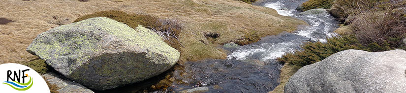 Reserva natural fluvial Río Lozoya