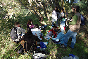 Imagen de voluntariado año 2007
