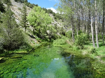 Reserva Natural Fluvial Hoces de Muriel de la Fuente