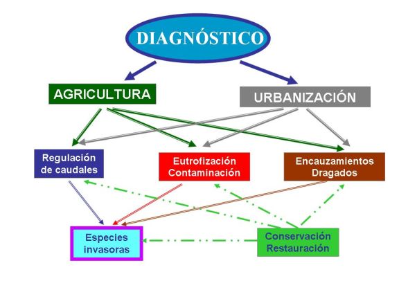 Soporte y diagnóstico