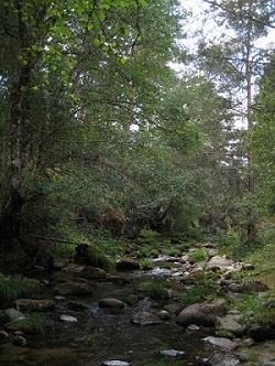 Estado y calidad de las Aguas superficiales