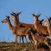 Portada recursos naturales informe IEPNB