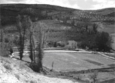 Fotografía en blanco y negro de un paisaje forestal