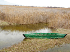 Fotografía de una barca varada en las Tablas de Daimiel. Autor: Ángel Sánchez Fernández