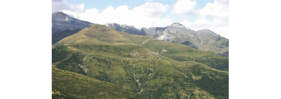 Fotografía de un prado con montañas al fondo