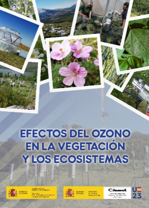 EFECTOS DEL OZONO EN LA VEGETACIÓN Y LOS ECOSISTEMAS