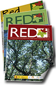 RED Nº3 2013 interior pieza 1.indd