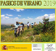 Paseos de Verano 2019