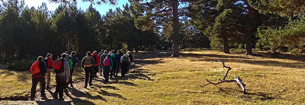 Programa CENEAM de excursiones didácticas por el entorno de Valsaín [Padro Llorente/Fototeca CENEAM]