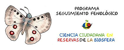 Programa Seguimiento Fenológico. Ciencia ciudadana en la Red Española de Reservas de la Biosfera