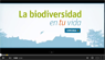 vídeo "La biodiversidad en tu vida"
