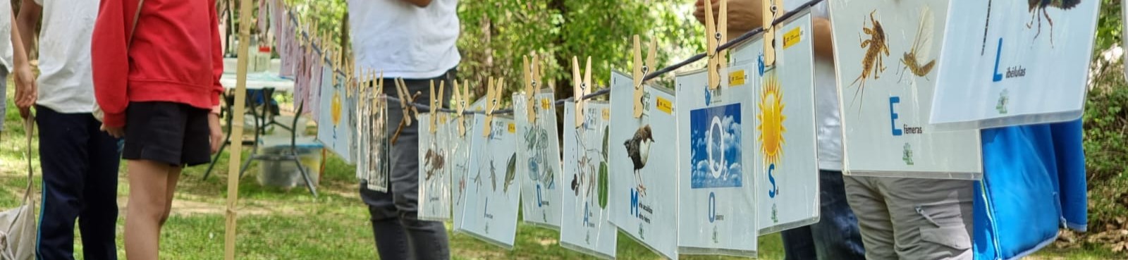 Actividades didácticas en CH Miño-Sil