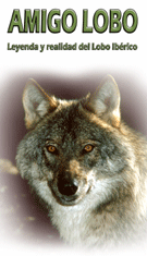 imágen de un lobo