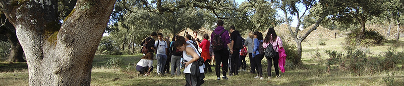 Actividad en grupo en el campo