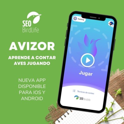 Avizor