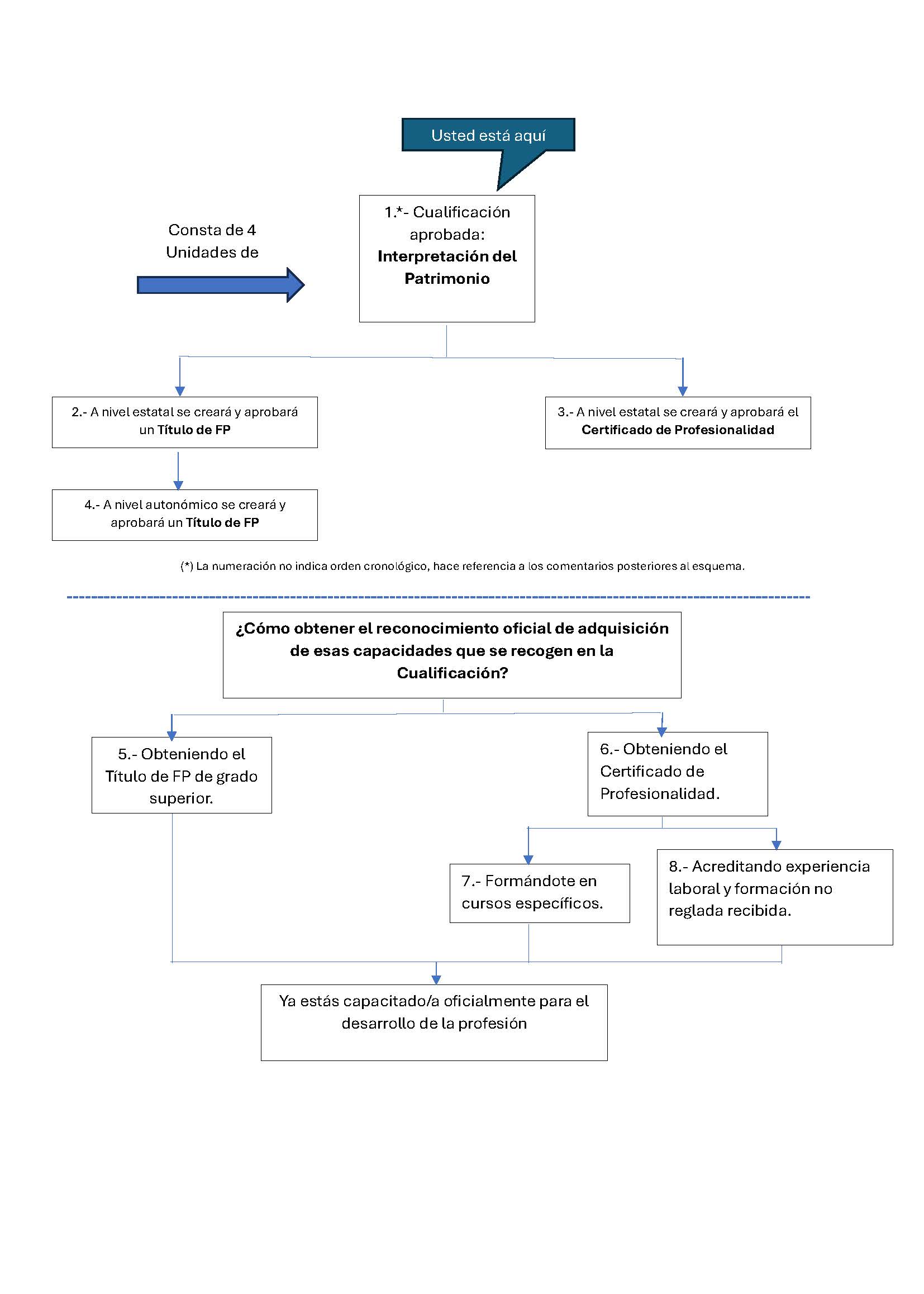 Proceso de profecionalización