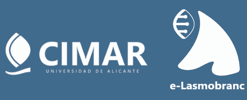 Proyecto e-Lasmobranc