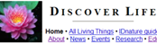 Discover Life