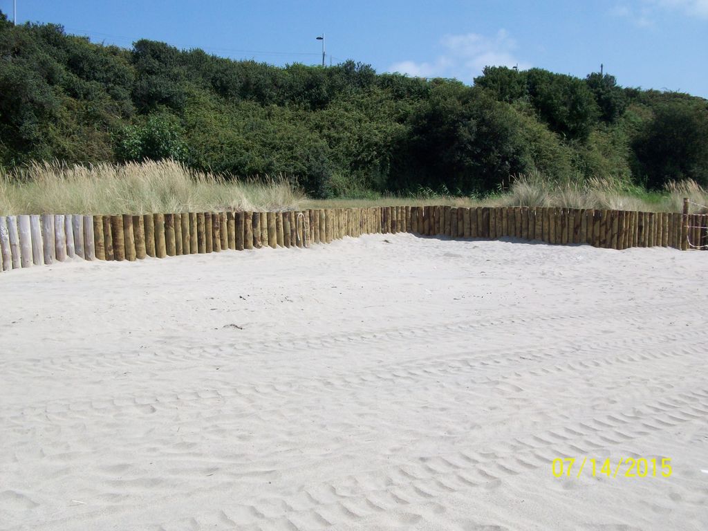 Mantenimiento y conservación 2015. Protección dunar en la playa de Espasante