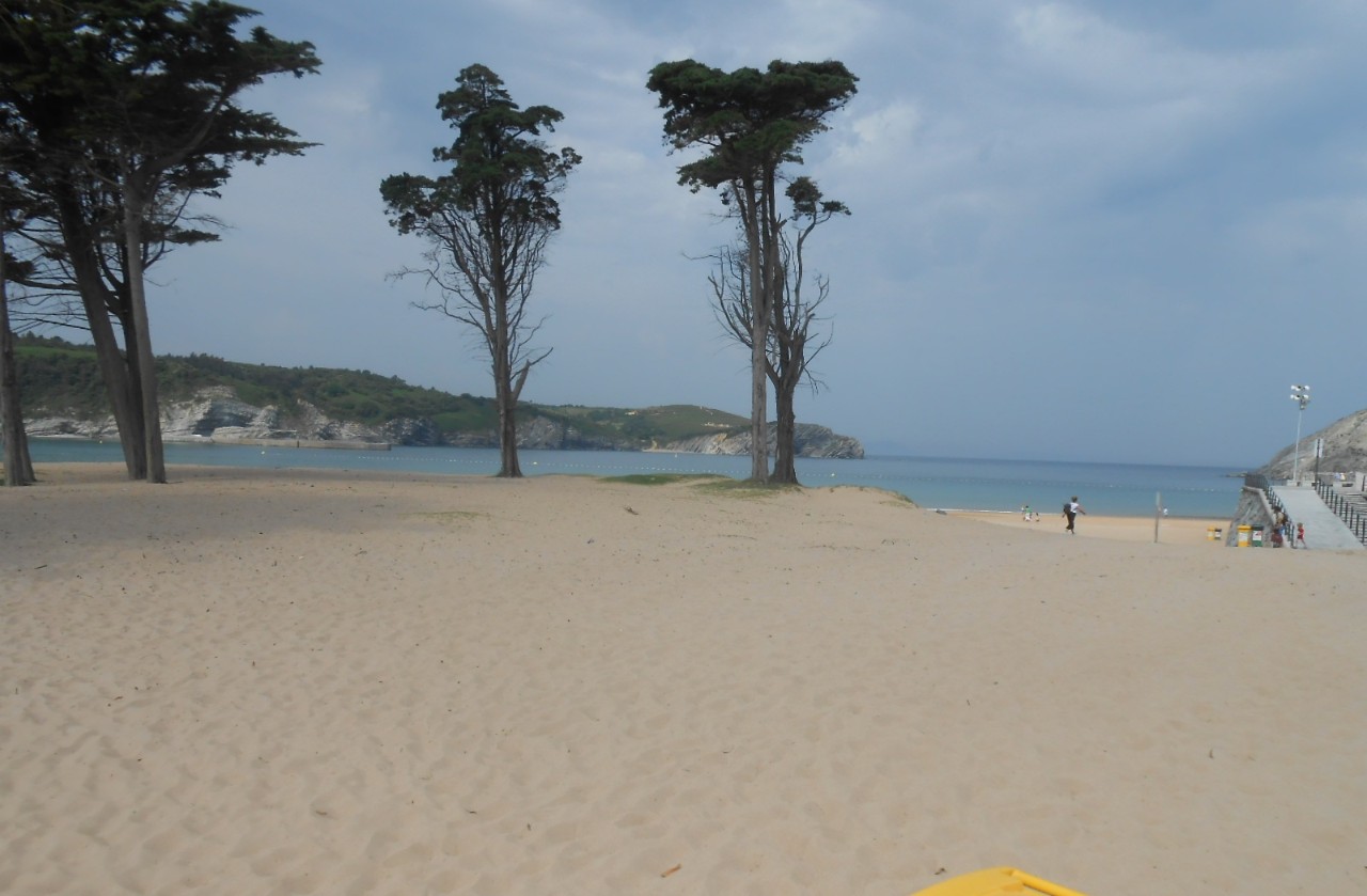 Playa y paseo de Gorliz. Restauración dunar.