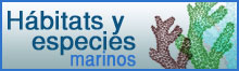 Hábitats y especies marinos