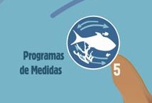 Fase 5 - Programas de Medidas