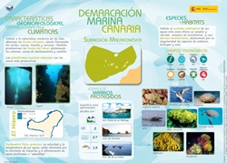 poster canarias 2-TRZ-web